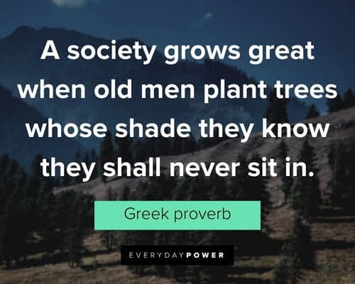 garden quotes about a society grows great when old men plant trees whose shade
