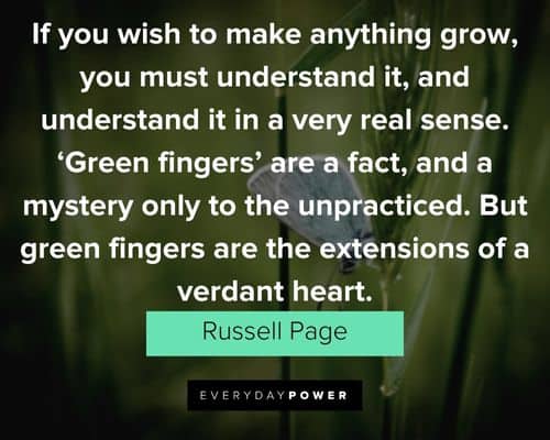 garden quotes about to make anything grow