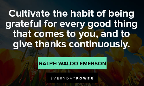 gratitude quotes about cultivate the habit of being grateful for every good thing that comes to you