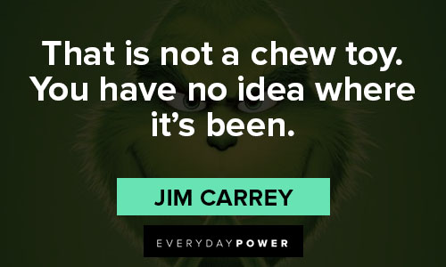 grinch quotes about That is not a chew toy