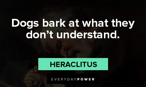 Heraclitus quotes about dogs bark at what they don't understand