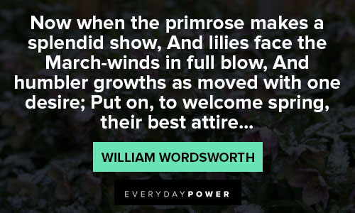 march quotes about the primrose makes a splendid show