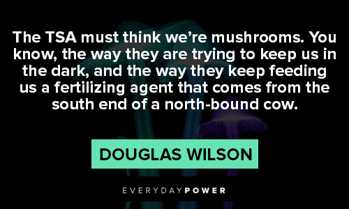 mushroom quotes about the TSA