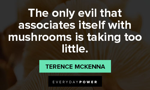 mushroom quotes about the only evil that associates itself with mushrooms is taking too little
