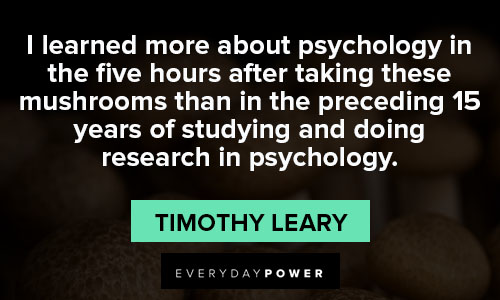 mushroom quotes about psychology