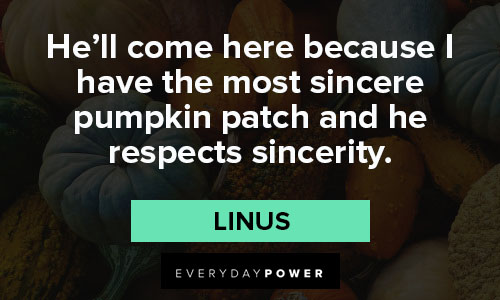 pumpkin quotes about he'll come here because I have the most sincere pumpkin patch