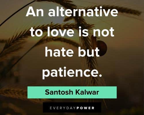 patience quotes an alternative to love is not hate but patience