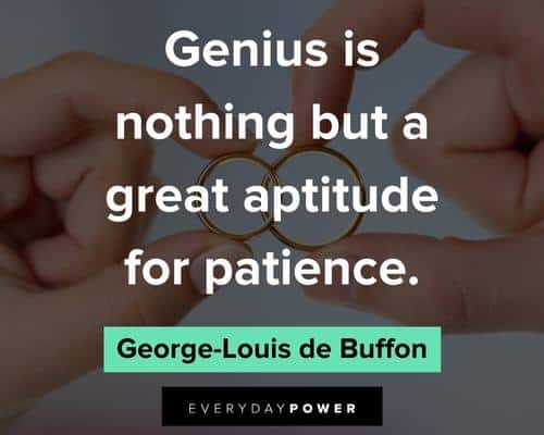 patience quotes about genius is nothing but a great aptitude for patience