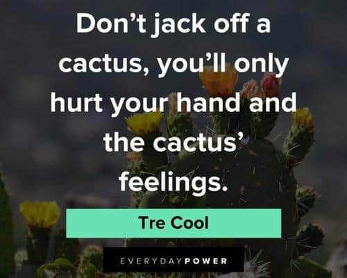 cactus quotes about the cactus feelings