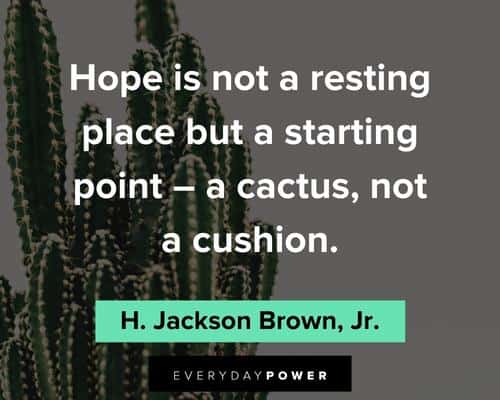 cactus quotes about hope is not resting place but s starting point