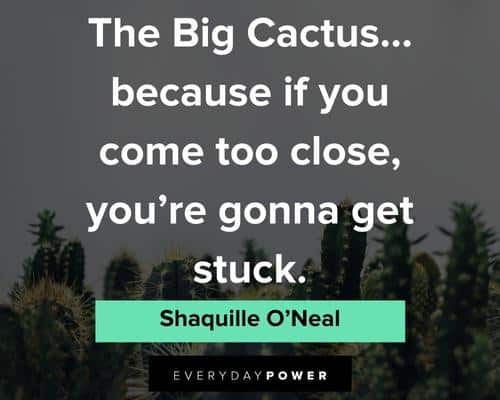 Cute cactus quotes about love