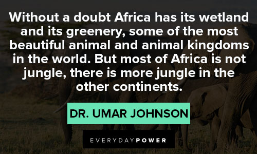 Wise Africa quotes