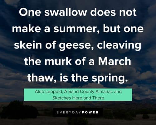 Cool Aldo Leopold quotes