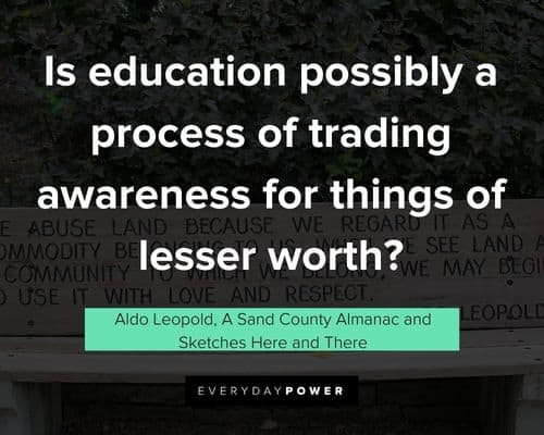 Short Aldo Leopold quotes