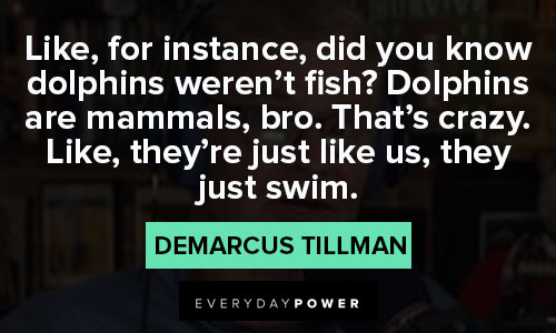 American Vandal quotes that Dolphins