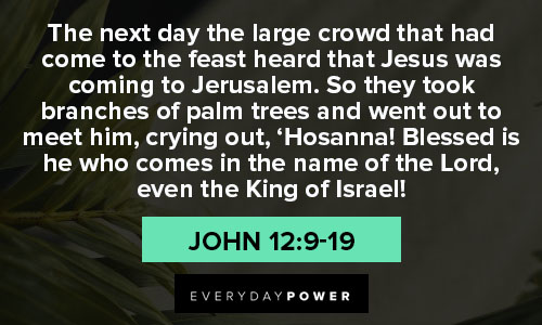 palm sunday quotes on Jerusalem