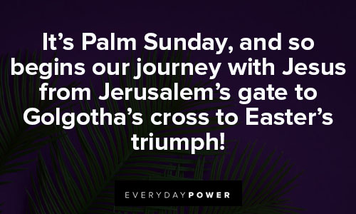 palm sunday quotes about Jesus