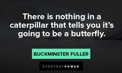 Buckminster Fuller quotes on butterfly