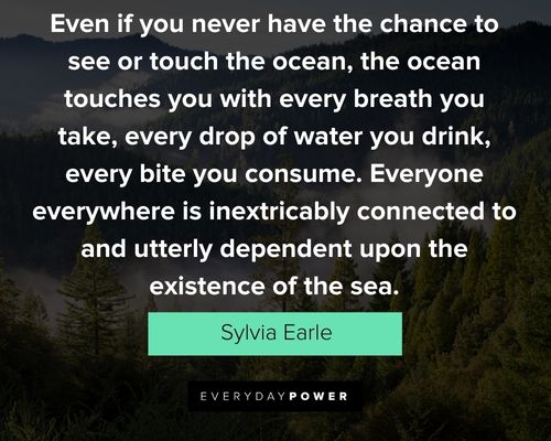 climate change quotes that will encourage you