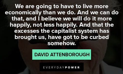 david attenborough quotes from the popular broadcaster
