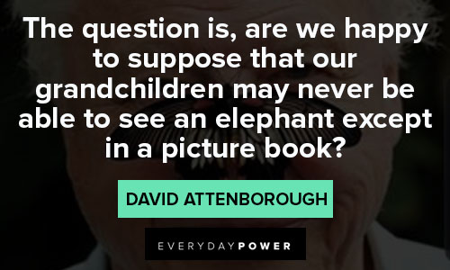 david attenborough quotes about picture book