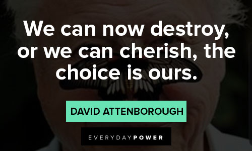 david attenborough quotes on destroy