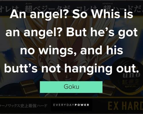 Funny Dragon Ball Z quotes and lines