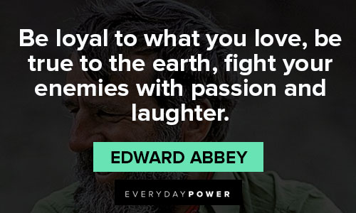Edward Abbey quotes of enemies