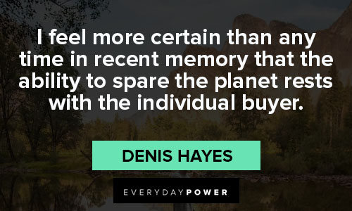 environment quotes about individual buyer