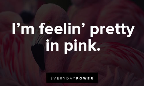 flamingo quotes that make perfect Instagram captions