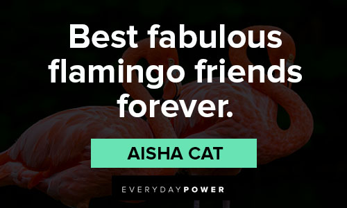 flamingo quotes about friend