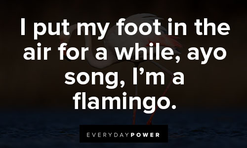 flamingo quotes about air