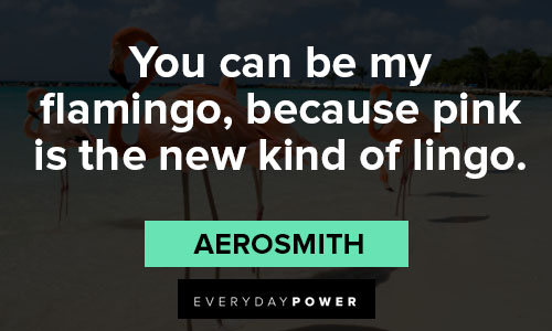 flamingo quotes about pink
