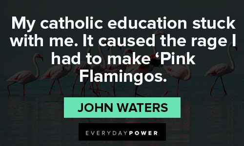 flamingo quotes about ponder