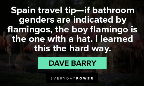 flamingo quotes about bathroom