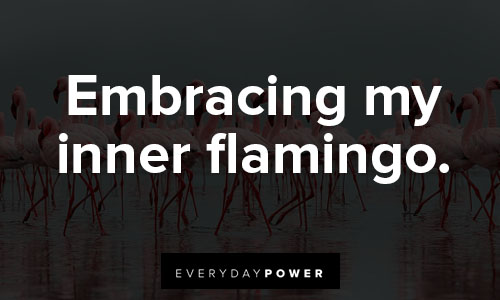 flamingo quotes on embracing my inner flamingo