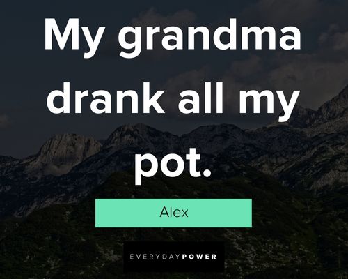 Grandma’s Boy quotes about my grandma drank all my pot