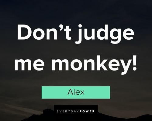 Grandma’s Boy quotes about don't judge me monkey
