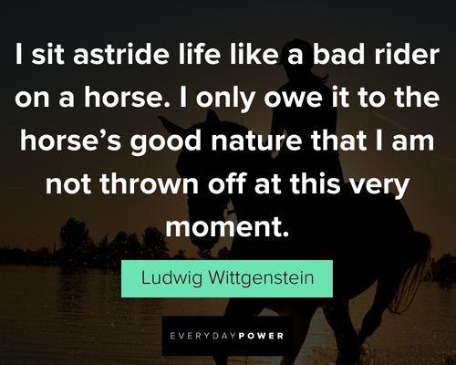 best horse quotes