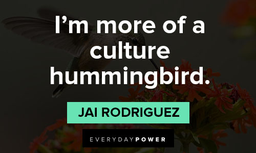 hummingbird quotes about culture