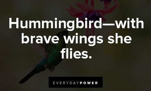 hummingbird quotes win