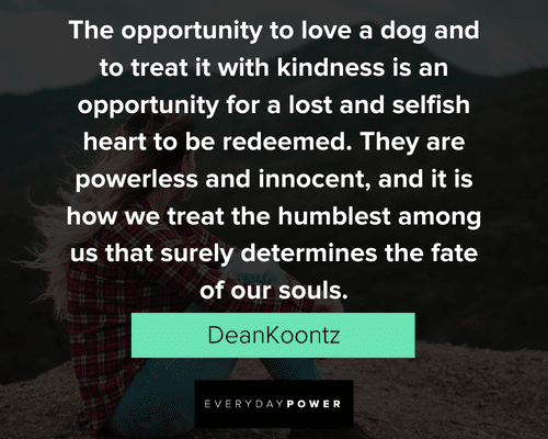 lost soul quotes about the opportunity