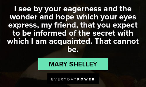 Motivational Mary Shelley quotes
