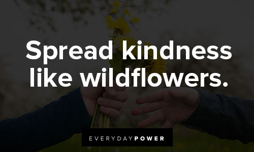 Motivational T-shirt quotes about wildflower
