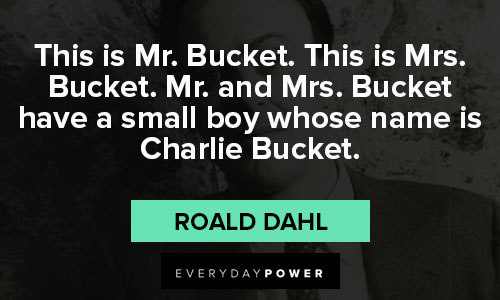 Amazing Roald Dahl quotes