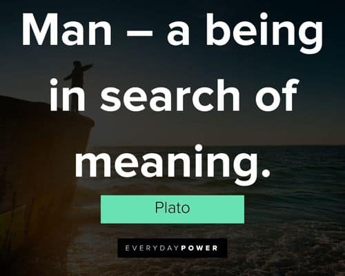 More search quotes