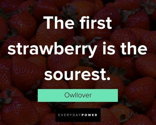 strawberry quotes about the first strawberry is the sourest