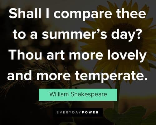 Summer quotes celebrating sunshine, love and laughter