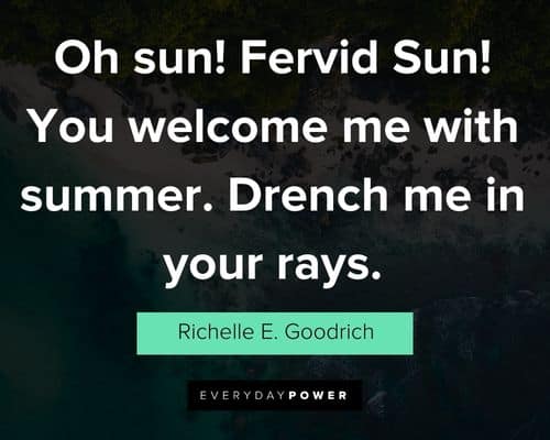 Wise summer quotes
