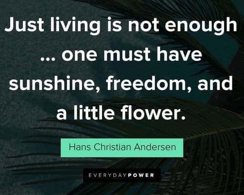 Inspirational summer quotes